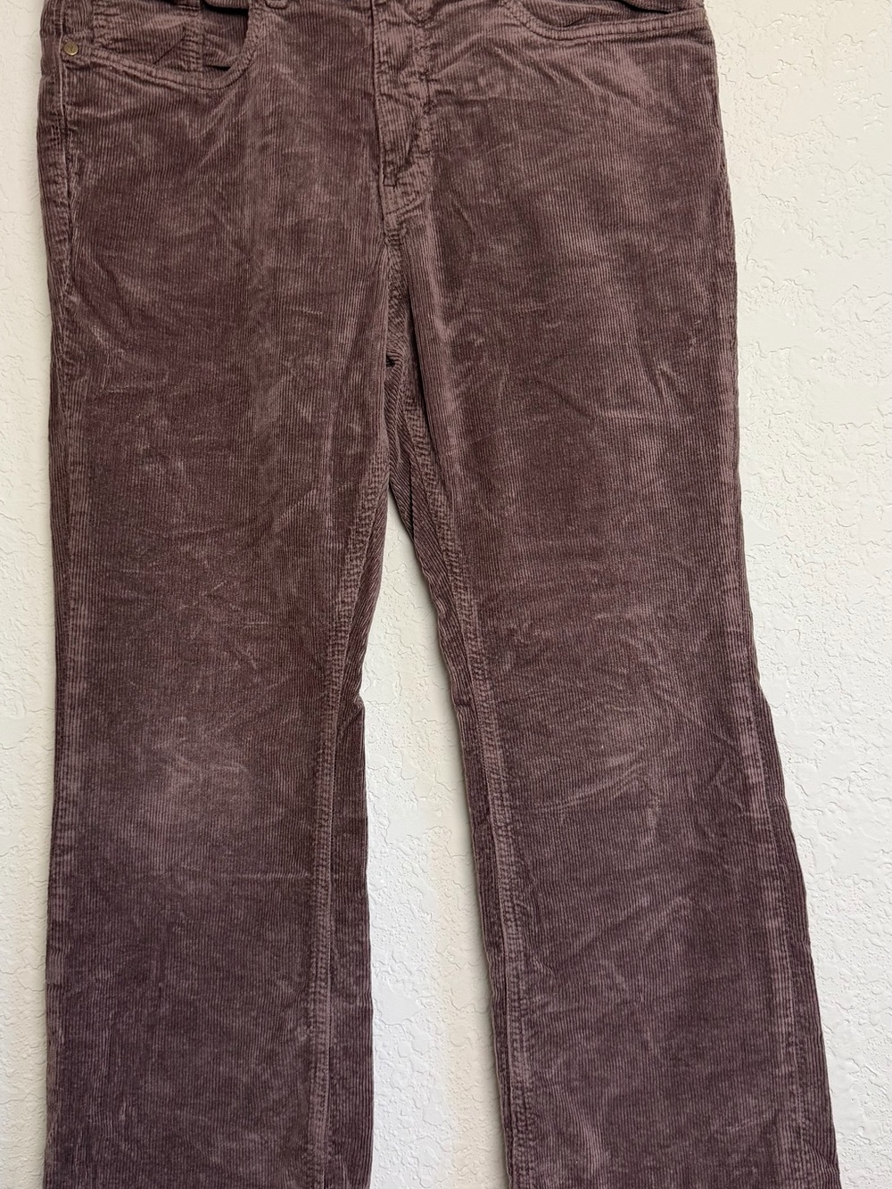Pilcro Corduroy Pants in Dusty Brown